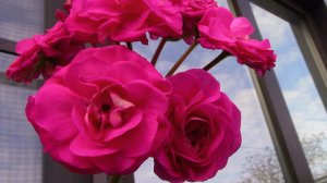 Заполняем полки цветами.#подставкадляцветов #подставкаподцветы #своимируками #ковка #холоднаяковка