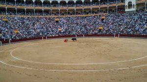 Коррида : национальная испанская забава - зрелище не для слабонервных Мадрид Испания