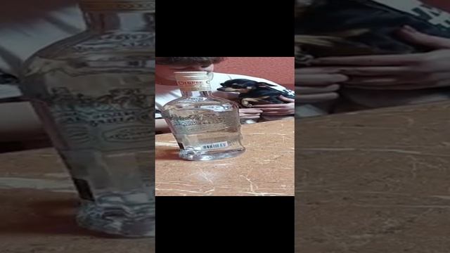 Собака Той-терьер охраняет бутылку.