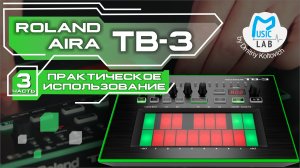 Roland AIRA TB-3. Практическое использование (часть 3)