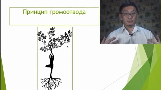Самая простая энергетическая защита / Сергей Ли