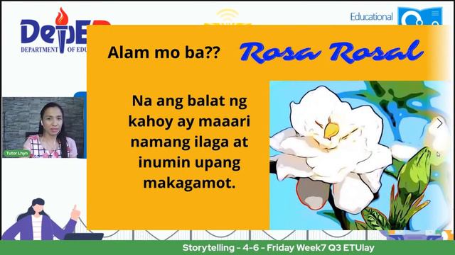 Storytelling - 4-6 - Friday Week7 Q3 ETUlay смотреть онлайн