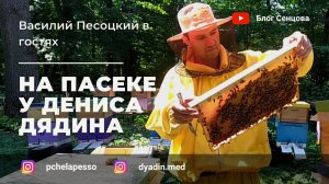 200+ На пасеке Дениса Дядина (г.Мичуринск, Тамбовская область)