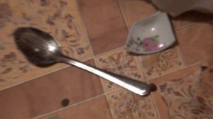 донской сфинкс босс разбил тарелку