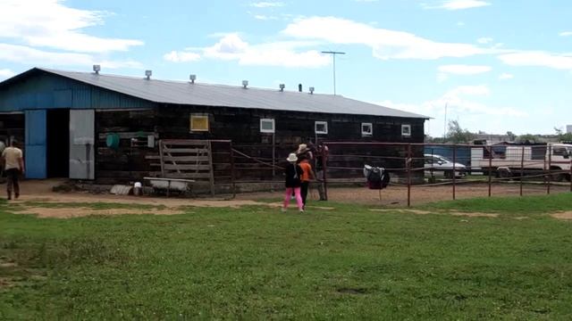 День скачек. Рядом с лошадьми . смотреть онлайн