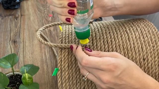 Фикус Лировидный Лирата ❤️ Кашпо из джута своими руками DIY
