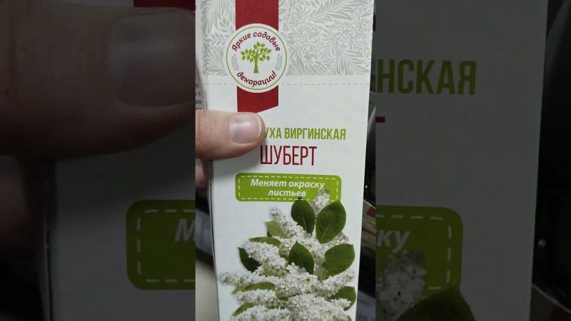 В Фикс Прайс завезли саженцы для дачи
