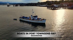 Harbor Views: Boats of Port Townsend