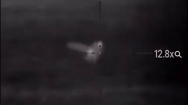 Охота с тепловизором Pulsar Trail XP50 - охота на лис. смотреть онлайн