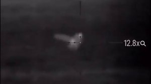 Охота с тепловизором Pulsar Trail XP50 - охота на лис.