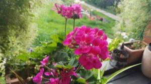 Влог молодой пенсионерки - это жизнь простой женщины "нараспашку". Новый анонс моего канала.