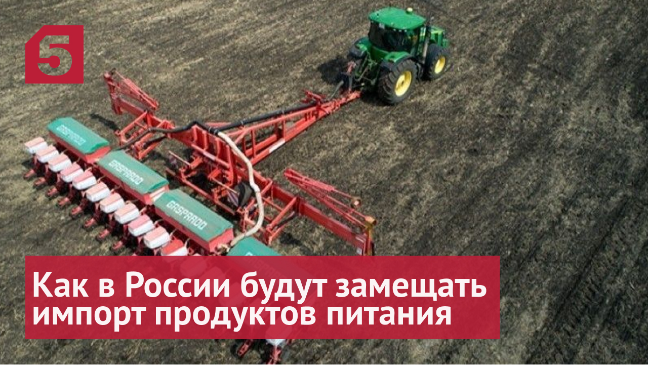 Путин: Россия должна заместить импорт ряда продуктов питания