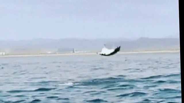 Наша лодка исп.Нина Вереск ст.вид.Э.Краснова смотреть онлайн