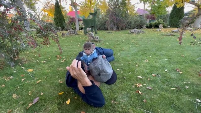 УРА! Вы посмотрите как Люся научилась ходить НА ДВУХ НОГАХ и они с Ангелиной стали собирать ягоды! смотреть онлайн