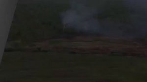 Пожар в лесу. Что надо знать каждому