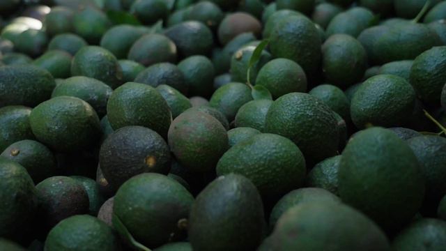 SNEAK PEEK: FarmHER Megan Shanley Warren Explains Why Morro Bay Avocados Are So Unique & Delicious смотреть онлайн
