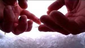 Ловля КРУПНОГО карася зимой на Дону!! Зимняя рыбалка на карася 2021, карась на мотыля