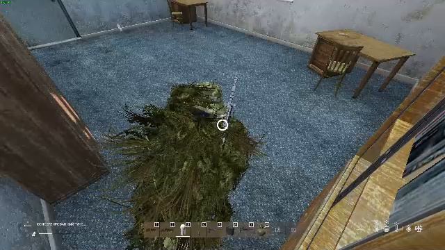 dayz