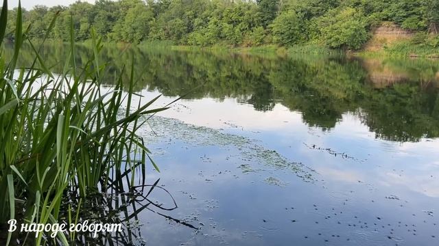 19 августа праздник ЯБЛОЧНЫЙ СПАС. Преображение Господне. Что нельзя делать. Народные традиции.