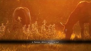 дуа за мусульман. (Чтец Мухаммад Аль-Люхайдан
