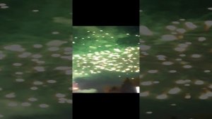 9 мая Горно-алтайск