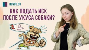 Как подать иск после укуса собаки?