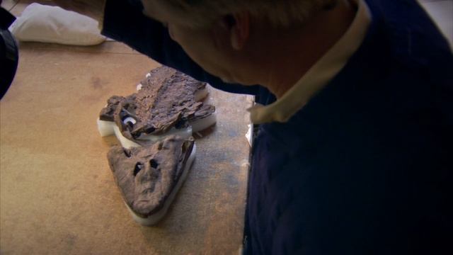 BBC: История животного мира с Дэвидом Аттенборо 1 серия (документальный сериал, 2013)