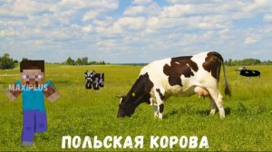 Майнкрафт- Стив Танцует.