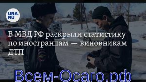 Из водителей-иностранцев в ДТП в России чаще других попадают граждане Узбекистана