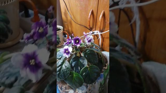 С старым Новым годом!!! смотреть онлайн