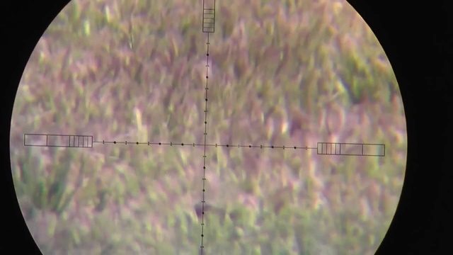 PCP пневматика. Дальний выстрел 25 cal (6.35мм) Hatsan BT65 смотреть онлайн