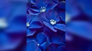 Музыкальное приветствие для урока музыки.