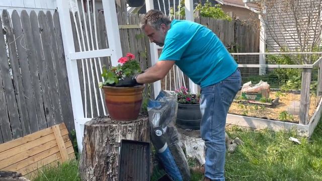 Украшаем двор цветами ✨ Высаживаем овощи смотреть онлайн