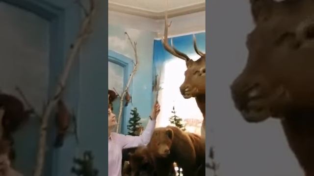 Алтайский марал смотреть онлайн