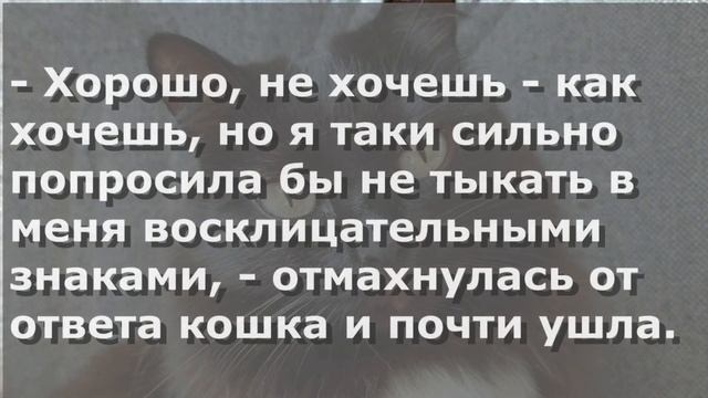 Чербелоидный подкаст #296 - Пять маленьких бутербродов смотреть онлайн