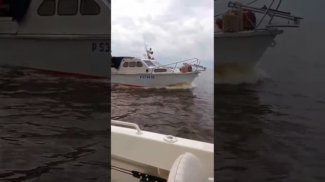 Катер Сивуч