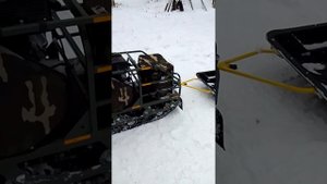 Мотобуксировщик Помор!