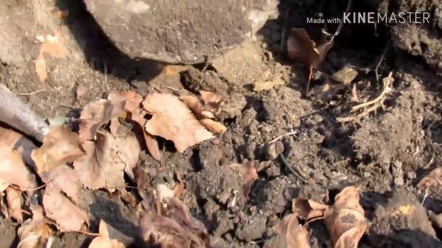 Вы интеллигентный человек??? смотреть онлайн