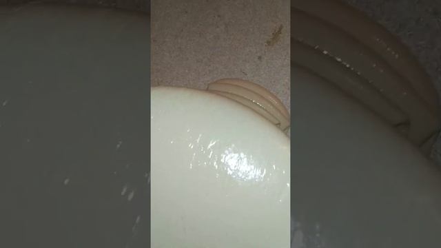 Укладка паркета палубной доски своими руками