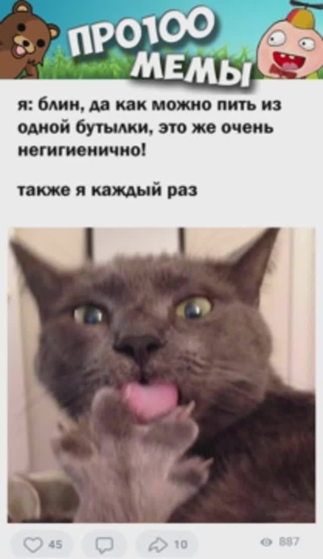 Мемы с котами 2022 #мемы #приколы #юмор #мемыскотами #мемыдня #меменуасы #про100мемы.