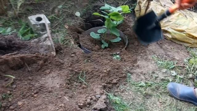 ОТДОХНУЛА до СЕДЬМОГО ПОТА смотреть онлайн