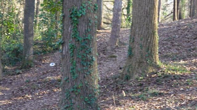 Sandra WON an FA1 Tournament // Intown Atlanta Holiday Classic 2022 (Round 2) смотреть онлайн