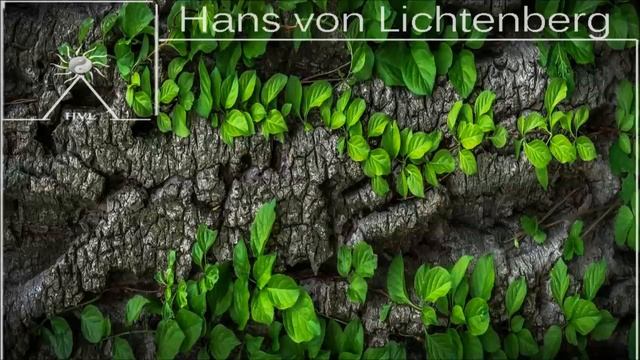RAINSONGS - Enchanted Tunes (Joy to read, study, meditate, focus, learn, sleep, dream)