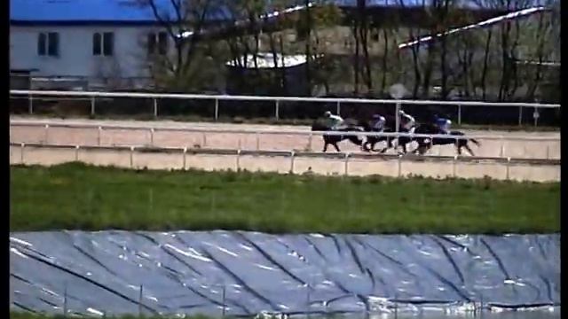 15.05.11.Пятигорск. ах. пор.лош. 4-х лет и ст.-Джизья. смотреть онлайн