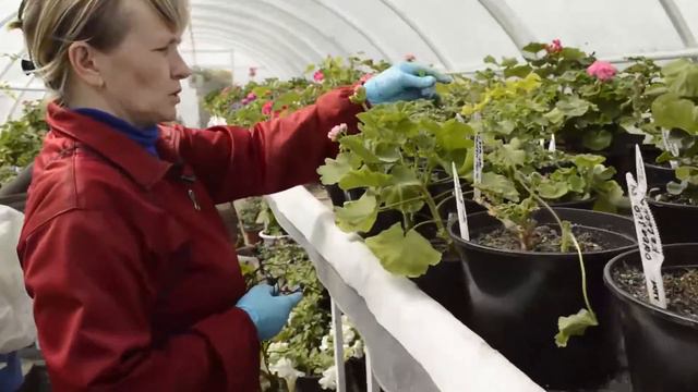 Небольшой обзор ассортимента смотреть онлайн