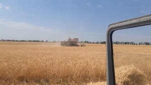 Уборка урожая 2022! Нива ск 5 м1. Газ 4301. Лопнул ходовой ремень...