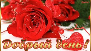 Песня ДОБРЫЙ ДЕНЬ!