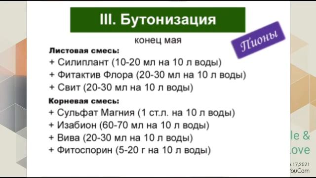 Все подкормки роз и все подкормки пионов на весь сезон, все обработки роз и пионов на весь сезон