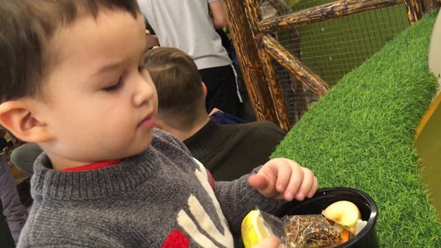 контактный зоопарк Леше 3 года смотреть онлайн