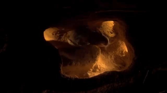 Зайцы и кролики: в чем отличия? Наталья Носова смотреть онлайн